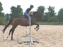 Saut d'obstacles - Vikidia, l'encyclopédie des 8-13 ans