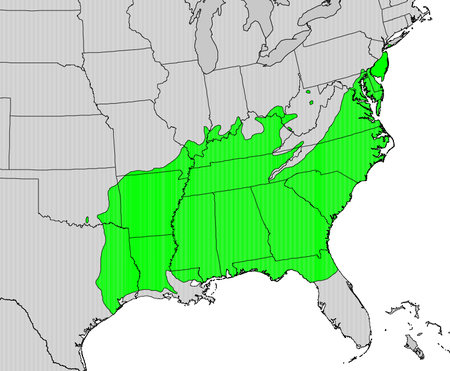 Quercus falcata map.png