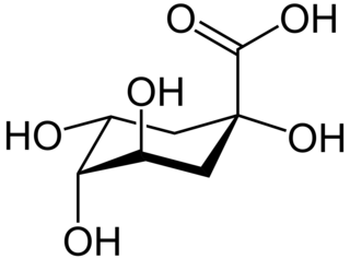 Chinasäure ist eine Hydroxyca