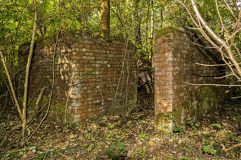 File:RAF Tarrant Rushton - the remains of an historic airfield (15) - geograph.org.uk - 5955803.jpg