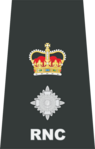 Royal Newfoundland Constabulary