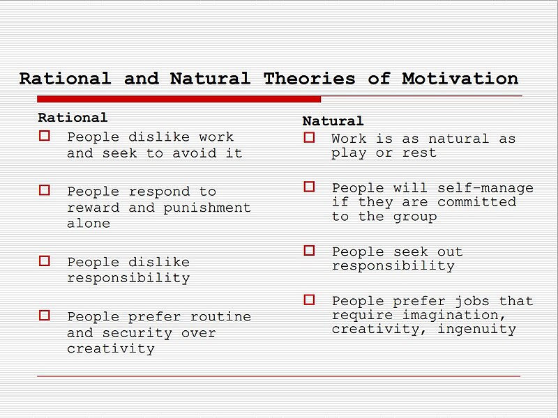 What are Rational Motivation  