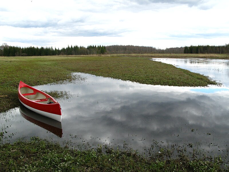 Soomaa National Park - estonia