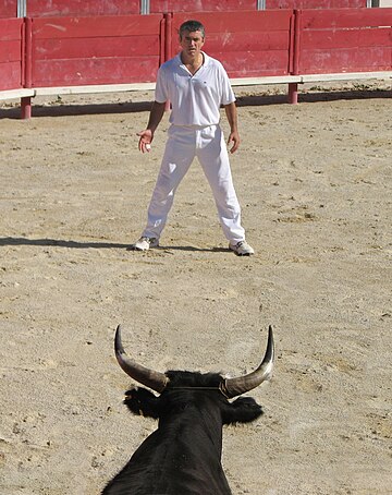 Corrida camarguesa