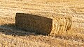 * Nomination Rectangular hay bale in Germany. View from higher angle.I, the copyright holder of this work, hereby publish it under the following license: --Tobias ToMar Maier 01:36, 6 October 2018 (UTC) * Promotion Good quality. -- Johann Jaritz 02:11, 6 October 2018 (UTC)