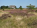 House on the island of Hiddensee