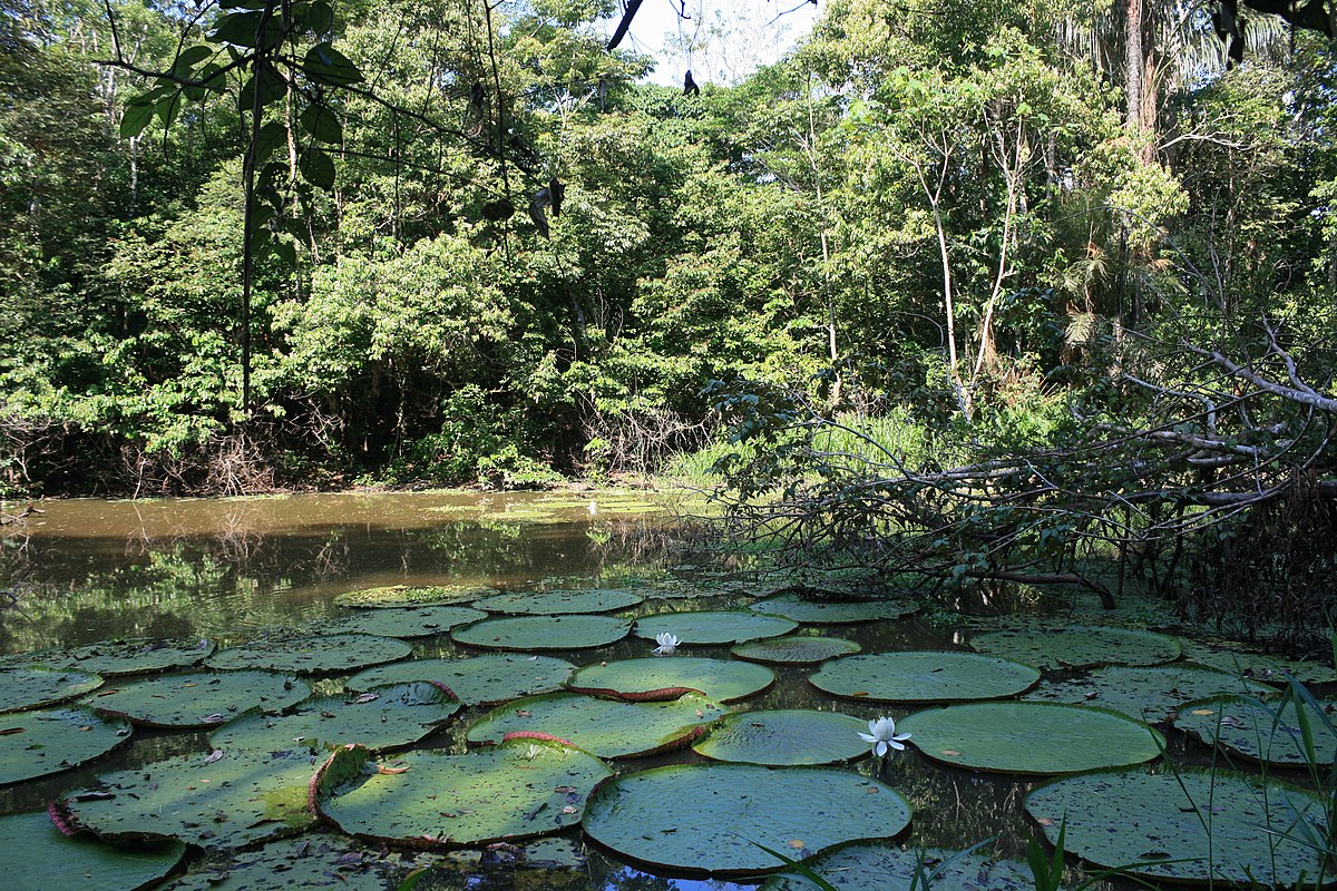 Cuál es el país con mayor reserva de agua dulce