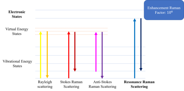Diagram of the different energy levels showing the states involved in the Raman signal Resonance Raman Scattering.png