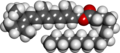 Retinyl palmitate spacefill.png