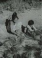 Rijstoogst (Java, 1947)