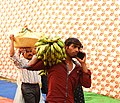 Rituals and Tradition of Chhath Puja in Delhi 05