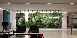 An indoor green wall in an office in Hong Kong Ronald Lu & Partners Green Wall.jpg