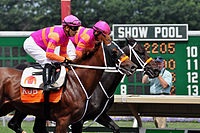 Ruler on Ice (left) and stablemate Pants on Fire at Monmouth Park in 2011. The duo were dubbed "Fire and Ice" during the 2011 racing season. Ruler on Ice and Pants on Fire.jpg