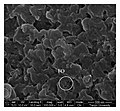 SEM-micrograph-of-nanosized-FeOOH-modified-anion-resin.jpg