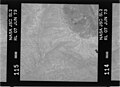 Kodak B&W infrared film with 700-800 nm bandpass filter