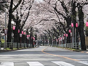 東京都府中市 寿町: 地理, 歴史, 世帯数と人口