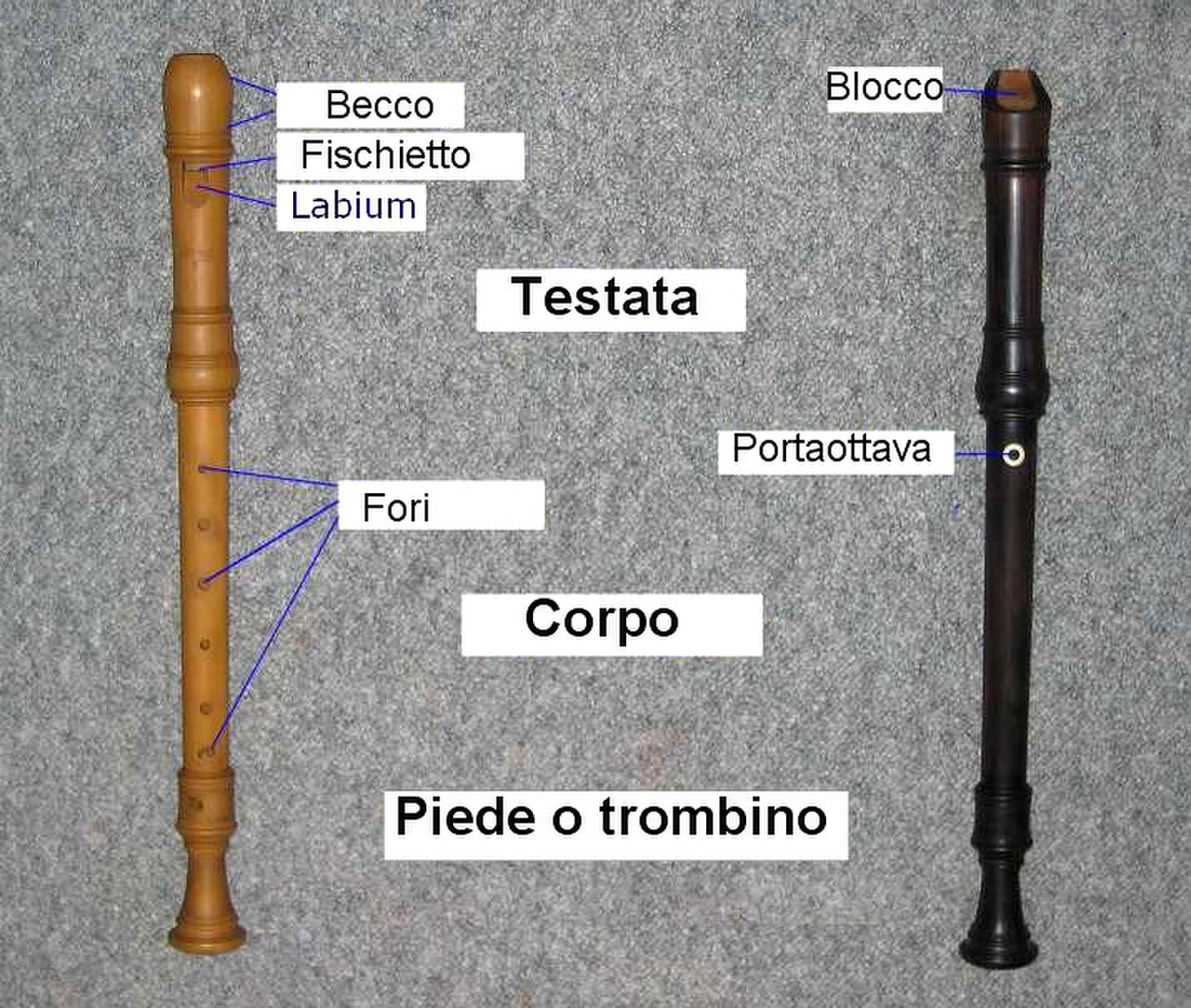 Лабиум у флейты