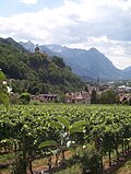 Vignette pour Viticulture au Liechtenstein