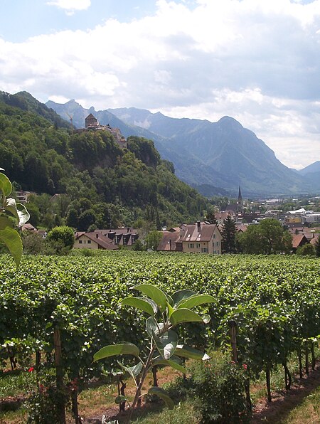 ไฟล์:Schlossvaduzvineyards.jpg