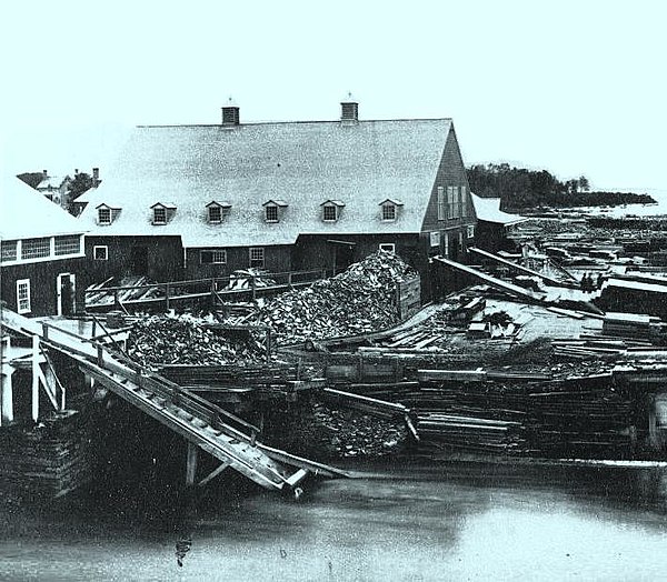 Hamilton Sawmill, Hawkesbury, around 1859.