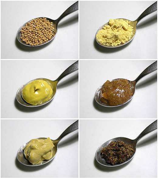 Mustard seeds (top left) may be ground (top right) to make different kinds of mustard. These four mustards are: English mustard with turmeric coloring (center left), a Bavarian sweet mustard (center right), a Dijon mustard (lower left), and a coarse French mustard made mainly from black mustard seeds (lower right).