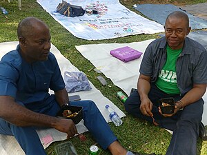 Senior citizens at the picnic