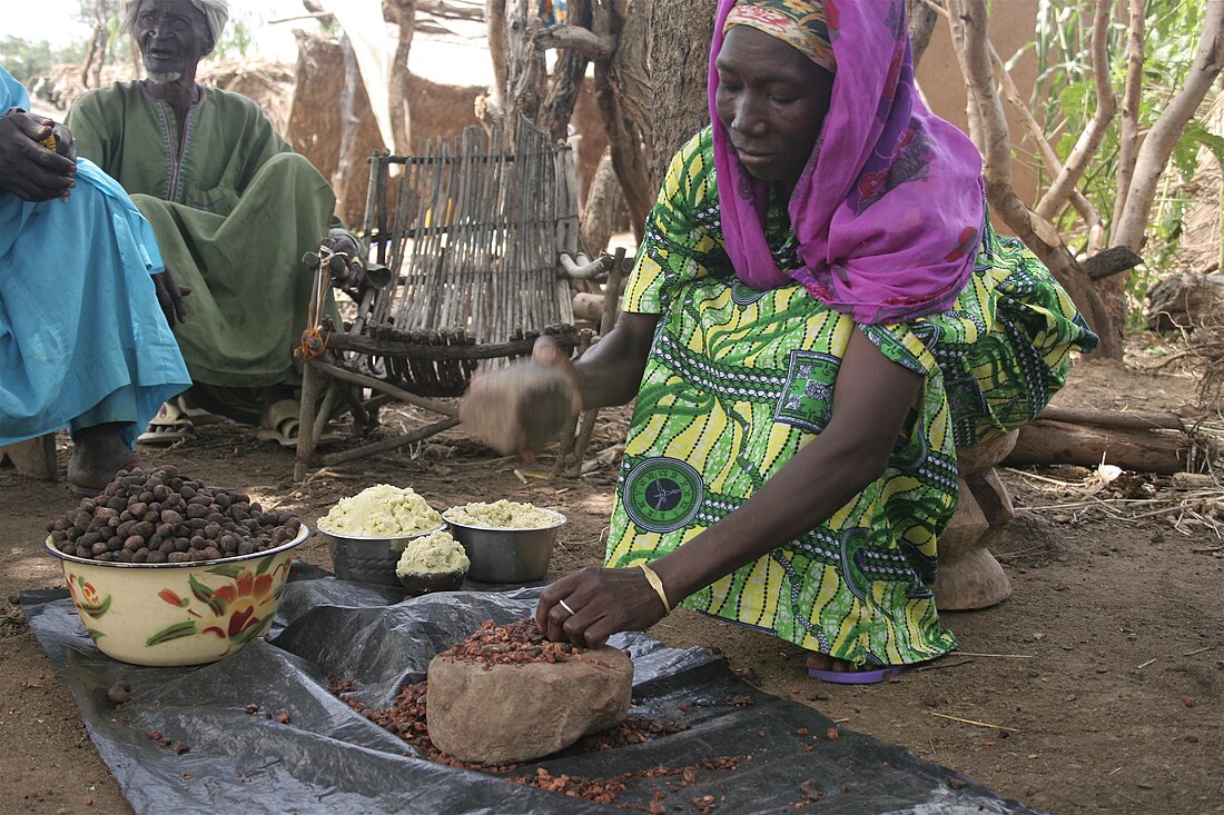 File:Shea nut processing in Burkina Faso.jpg