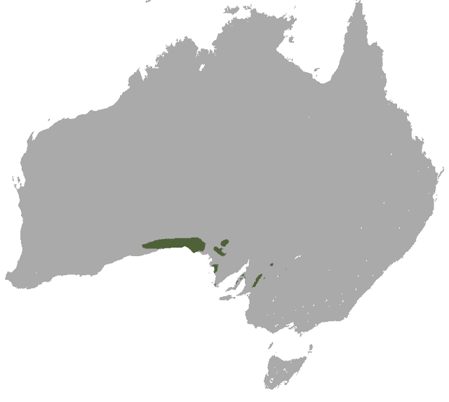 Description de l'image Southern Hairy-nosed Wombat area.png.