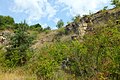 English: Státní lom, an abandoned quarry in the nature park Velký Kosíř. South-west part of the quarry is a national natural monument, but this picture was taken in its north part. Čeština: Státní lom, přírodní park Velký Kosíř. Jihozápadní část lomu je národní přírodní památkou, ovšem tato fotografie byla pořízena v severní části.