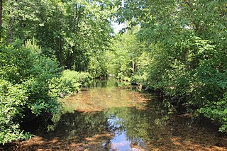 Stamp Creek river in the United States of America