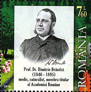 Dimitrie Brândză