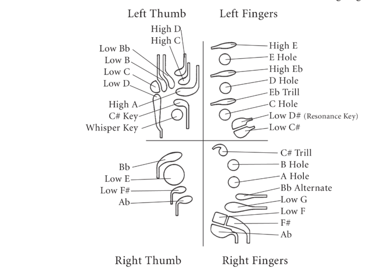 File:Standard Bassoon Fingering Keys Diagram.png