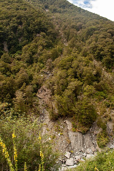 File:State Highway 6, close to Haast Pass 07.jpg