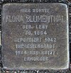 Stolperstein Goldbekufer 42 (Flora Blumenthal) in Hamburg-Winterhude.jpg