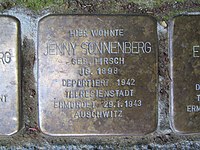 Stolperstein Jenny Sonnenberg, 1, Rheinstraße 12, Nierstein, Landkreis Mainz-Bingen.jpg