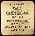 Stolperstein für Sara Cohen-Bosman (Rotterdam).jpg