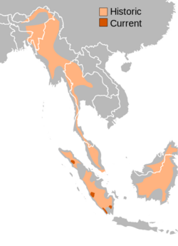 Sumatran rhino range