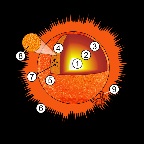 Budowa Słońca, gwiazdy typu G:     1. Jądro 2. Strefa promienista 3. Strefa konwektywna 4. Fotosfera 5. Chromosfera   6. Korona 7. Plama słoneczna 8. Granule 9. Protuberancje