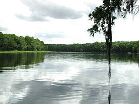 Suwannee River.jpg