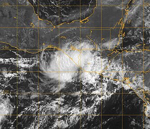 2007 Tropical Storm Barbara