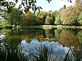 Teich in Wulkow bei Booßen.JPG