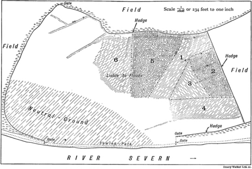 Territory in bird life p88