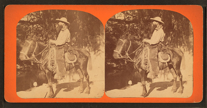 File:Texas Boy, by Doerr, H. A. (Henry A.), 1826-1885.jpg