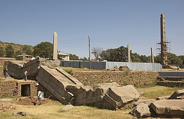 Archaeologist, Stuart Munro-Hay, wrote of the Great Obelisk: ...among the biggest single stones ever quarried by human labour. It testifies to the magnificent self-esteem of the unknown ruler who had it extracted and dragged several kilometres to its final site, and to the skill and artistry of those who prepared and decorated it.
Over thirty-three metres tall, the stele represents a thirteen storey tower, with elaborate window-tracery, frames, lintels, beam-ends, even a door with a bolt. This monstrous stone soon fell---perhaps a few seconds after being levered upright---smashing onto the roof block of a tomb nearby.
This block (some 17 x 7 x 1.5 metres), was not broken, though the tomb underneath it was crushed, but the great stele separated into three pieces. The top was completely smashed by the impact.
Nearby is its largest still-standing neighbour, twenty-seven metres tall.