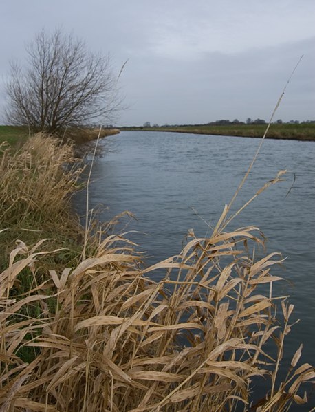 File:The River Hull near Tickton - geograph.org.uk - 1194188.jpg