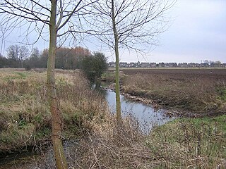 <span class="mw-page-title-main">River Can</span> River in Essex, England