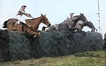 Tipperary Tim at fence.jpg