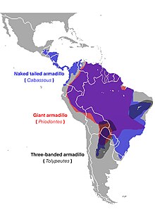 Tolypeutinae Range.jpg