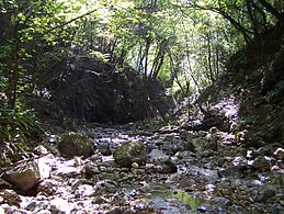 Torrente carso1.jpg