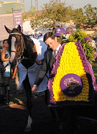 <span class="mw-page-title-main">Tourist (horse)</span> American-bred Thoroughbred racehorse